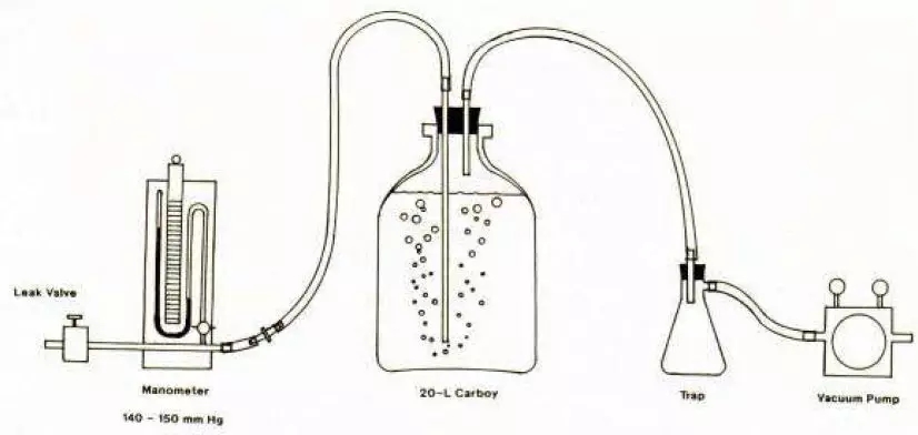 1559089307568226.jpg 1559089307568226.jpg