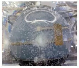 1559089388904275.jpg 640.webp (2).jpg