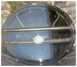 1559089420338184.jpg 640.webp (4).jpg