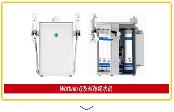 1707271183582684.png 13.png