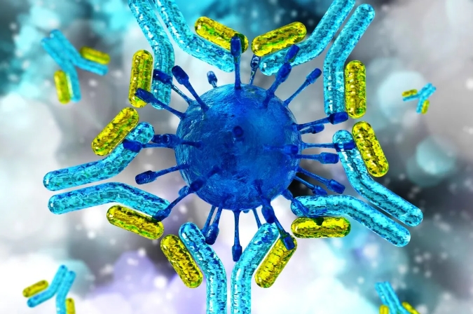 1712467665940173.png 1.png