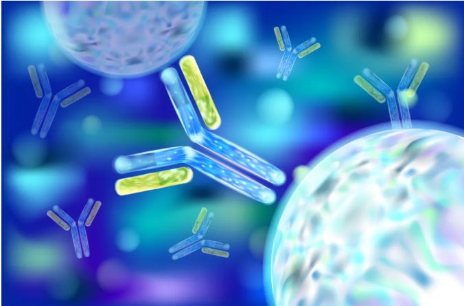 1712468136391298.png 1.png